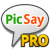 PicSayIcon
